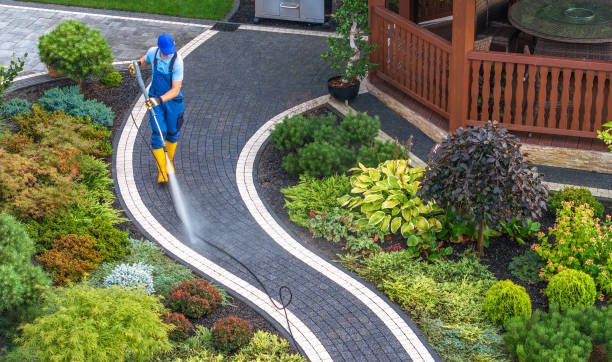 Best Roof Pressure Washing  in Woodbury Center, CT